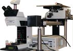Microscope